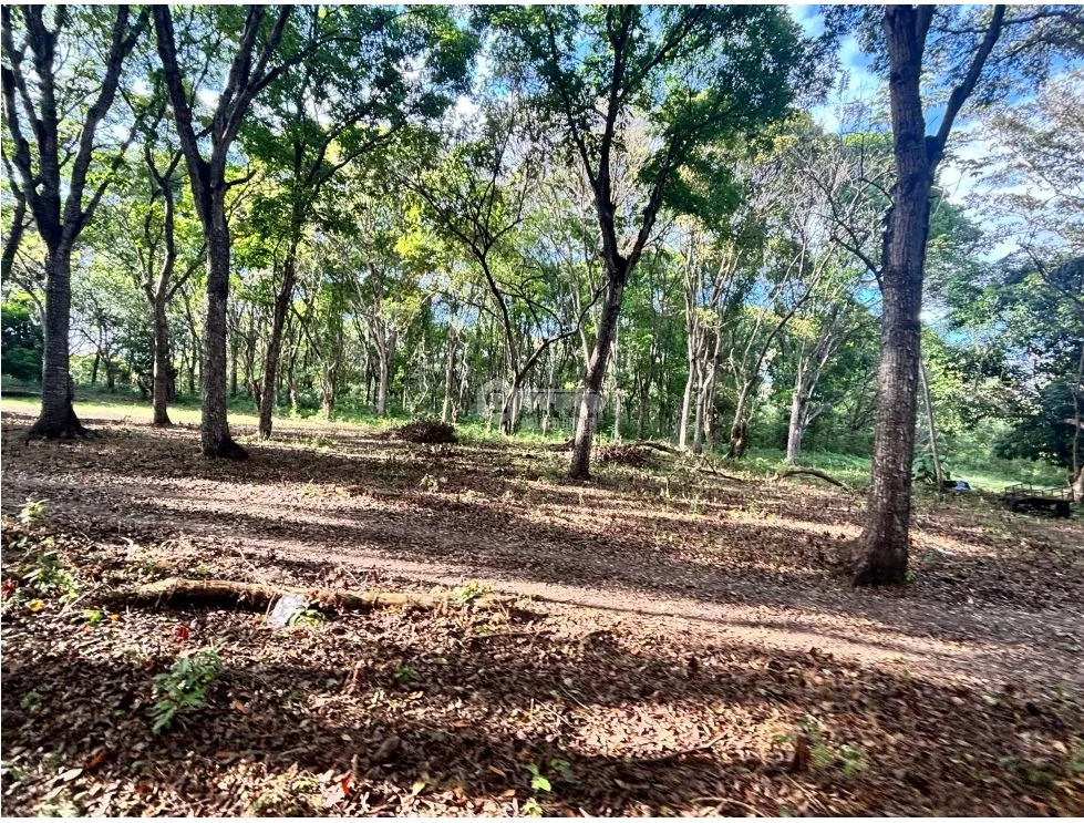 Building Lot for sale in Chame