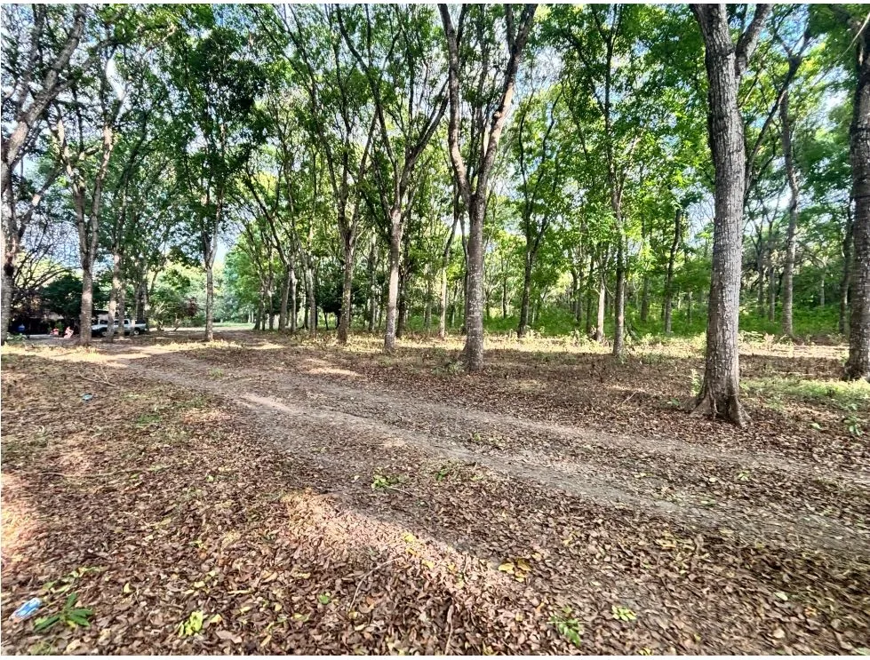 Building Lot for sale in Chame