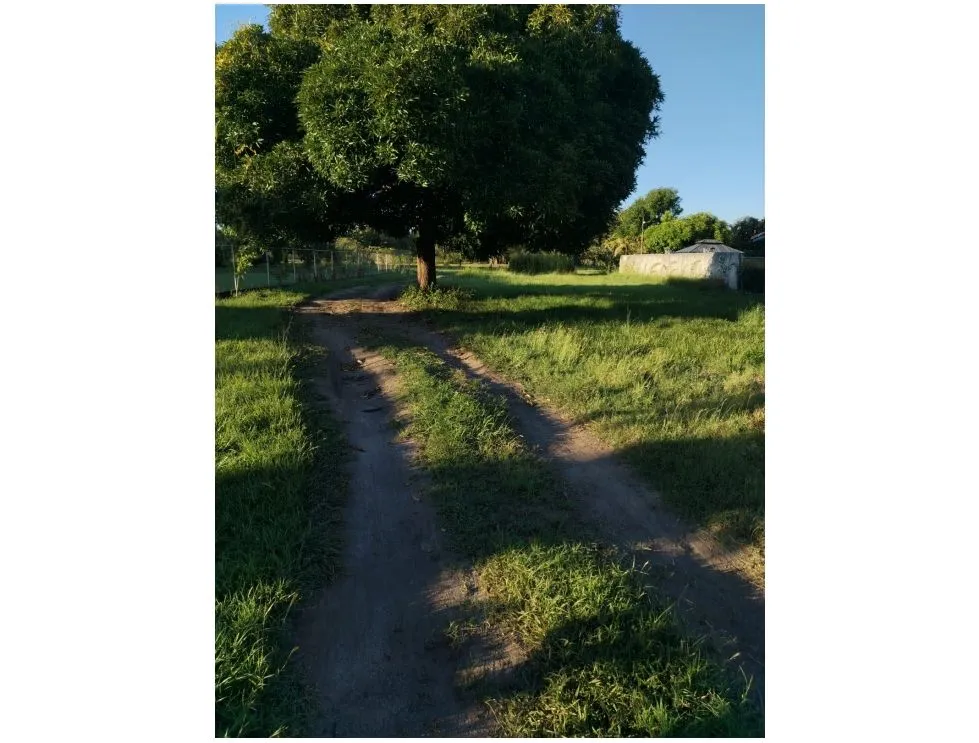 Building Lot for sale in Coronado