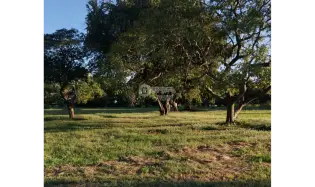 Building Lot for sale in Coronado