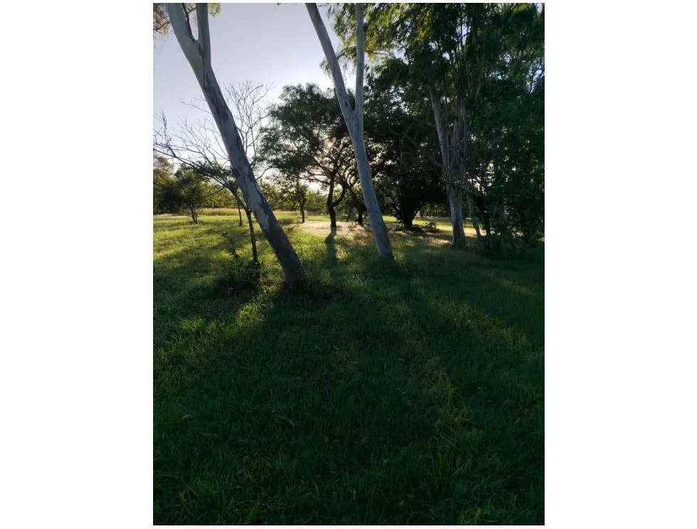 Building Lot for sale in Coronado