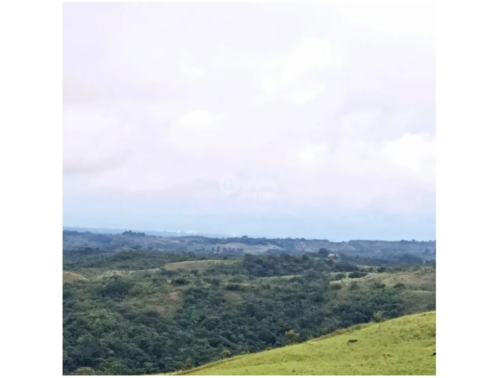 SAN CARLOS / 10000M / VISTA AL MAR Y MONTAÑAS / QUEBRADA INLUIDA  AG
