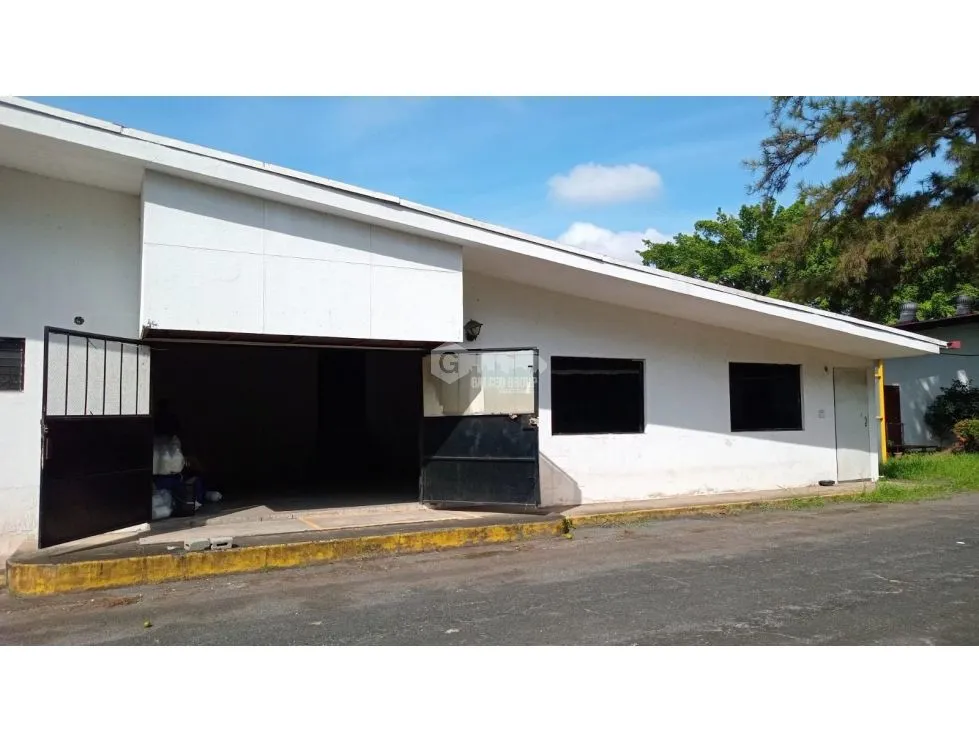 Warehouse for rent in Pedregal