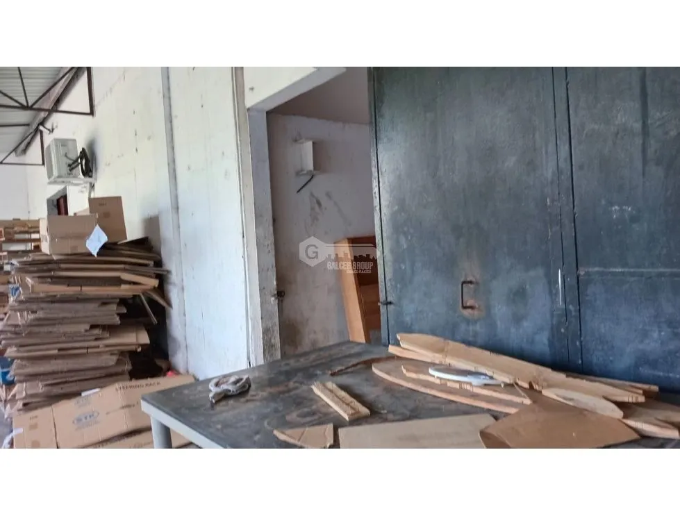 Warehouse for rent in Pedregal