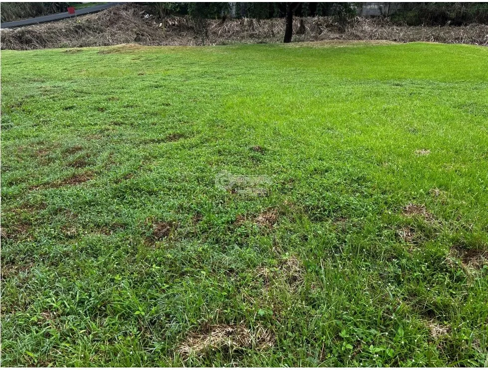 Building Lot for sale in Villa Zaita