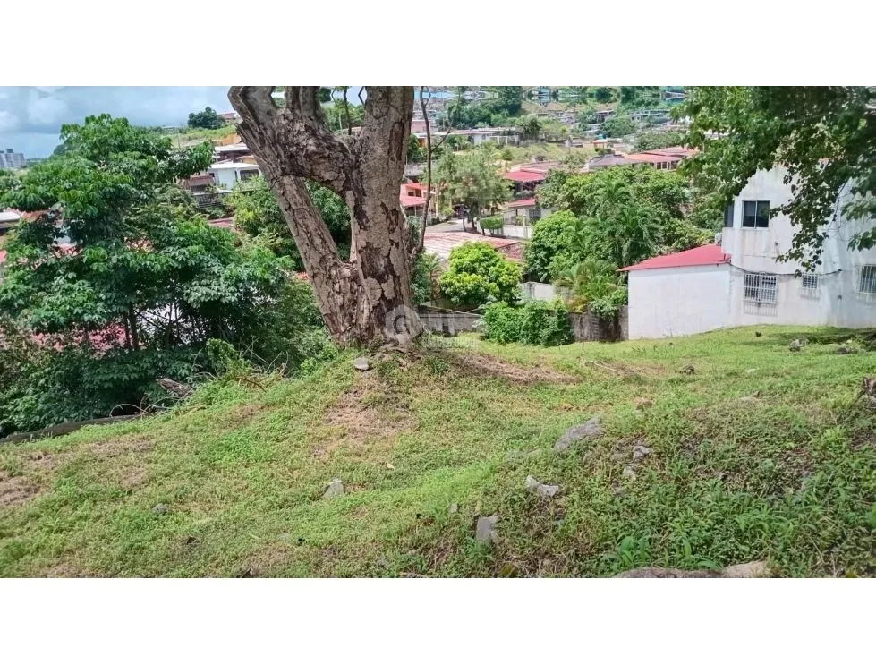 TERRENO / EL BOSQUE / 425.76M / IDEAL PARA PROYECTO DE RESIDENCIA JC