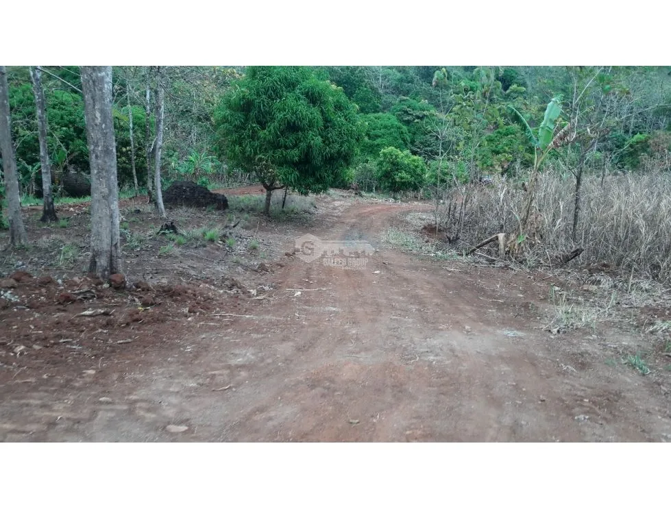 LAS CUMBRES / VILLA GRECIA / 12 HECTAREAS / DESARROLLO DE BARRIADA