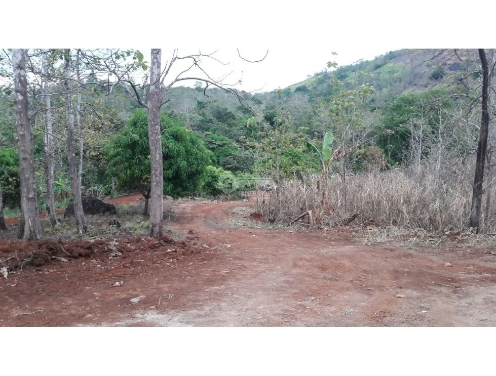 LAS CUMBRES / VILLA GRECIA / 12 HECTAREAS / DESARROLLO DE BARRIADA