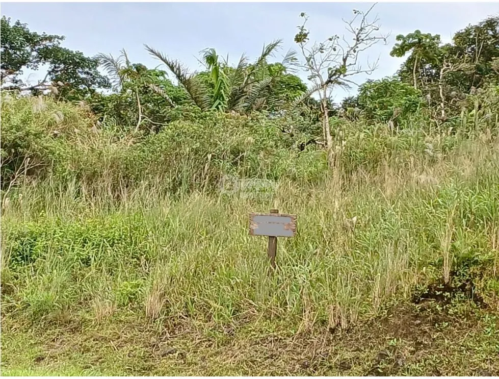 COCLE / EL VALLE DE ANTON / LAS NUBES / 3888M / TERRENO /  AG