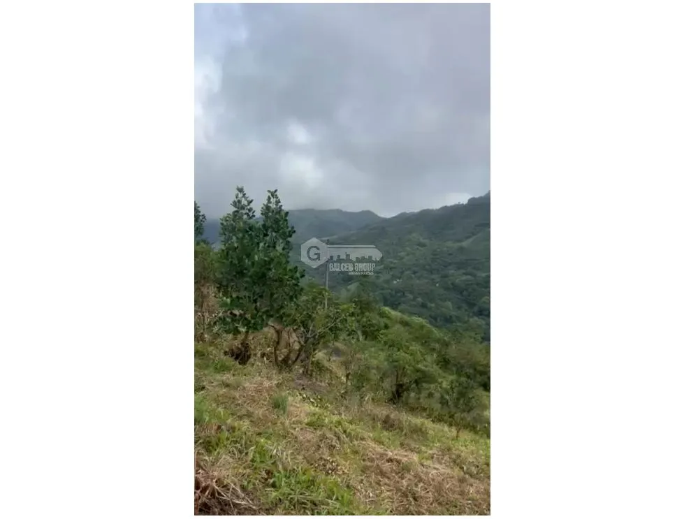 COCLE / EL VALLE DE ANTON / LAS NUBES / 3888M / TERRENO /  AG