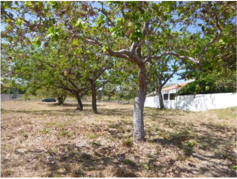 Building Lot for sale in Coronado