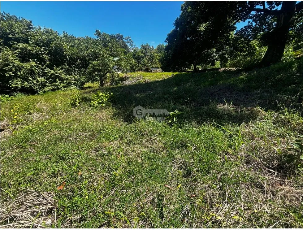 SAN CARLOS / COSTA ESMERALDA / 3300M / BEACH / AG