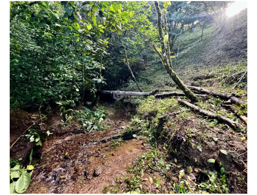 ALTOS DEL MARIA / 1525M / PUNTO ALTO / FRENTE A VIA / ESQUINA