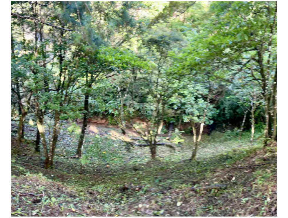 ALTOS DEL MARIA / 1525M / PUNTO ALTO / FRENTE A VIA / ESQUINA