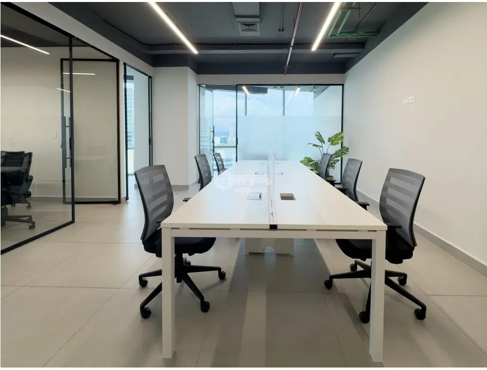 Office for rent in Costa del Este