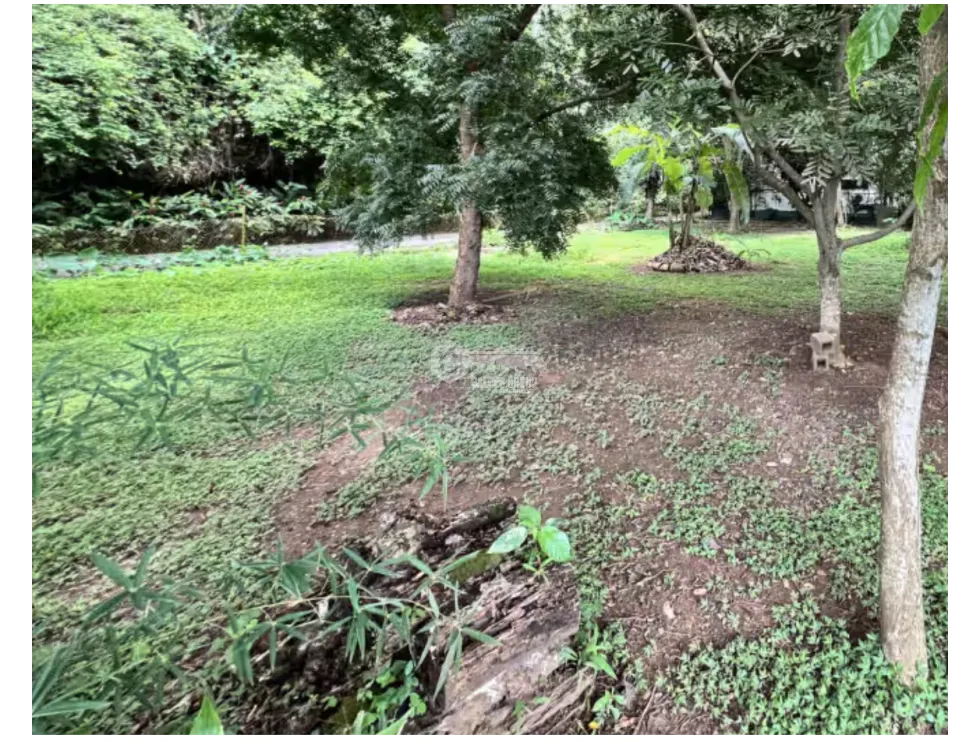 BALBOA / ANCON / QUARRY HEIGHTS URBANIZATION / 674 M / FLAT LOT