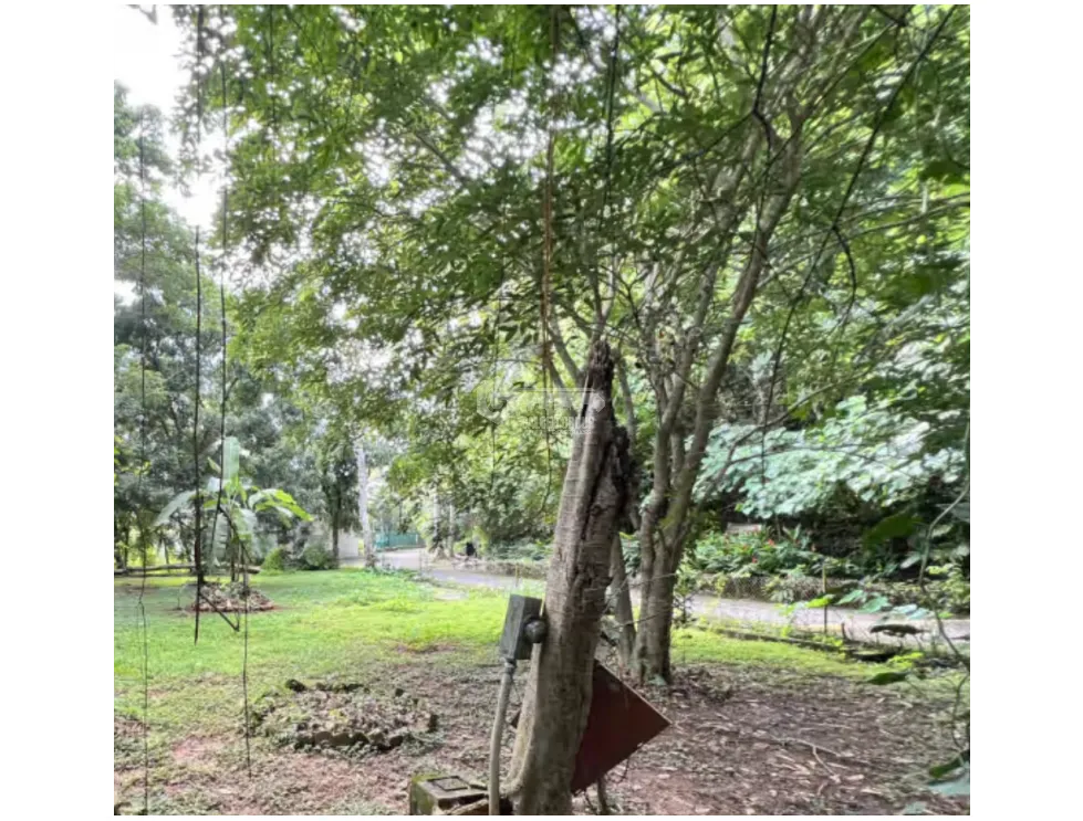 BALBOA / ANCON / QUARRY HEIGHTS URBANIZATION / 674 M / FLAT LOT