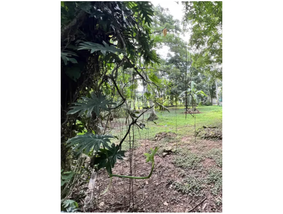 BALBOA / ANCON / QUARRY HEIGHTS URBANIZATION / 674 M / FLAT LOT