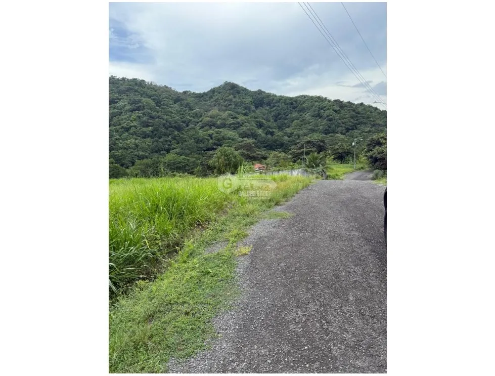 Building Lot for sale in La Mesa de San Martin
