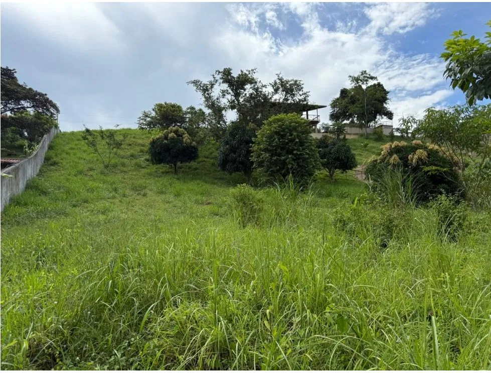 Building Lot for sale in La Mesa de San Martin