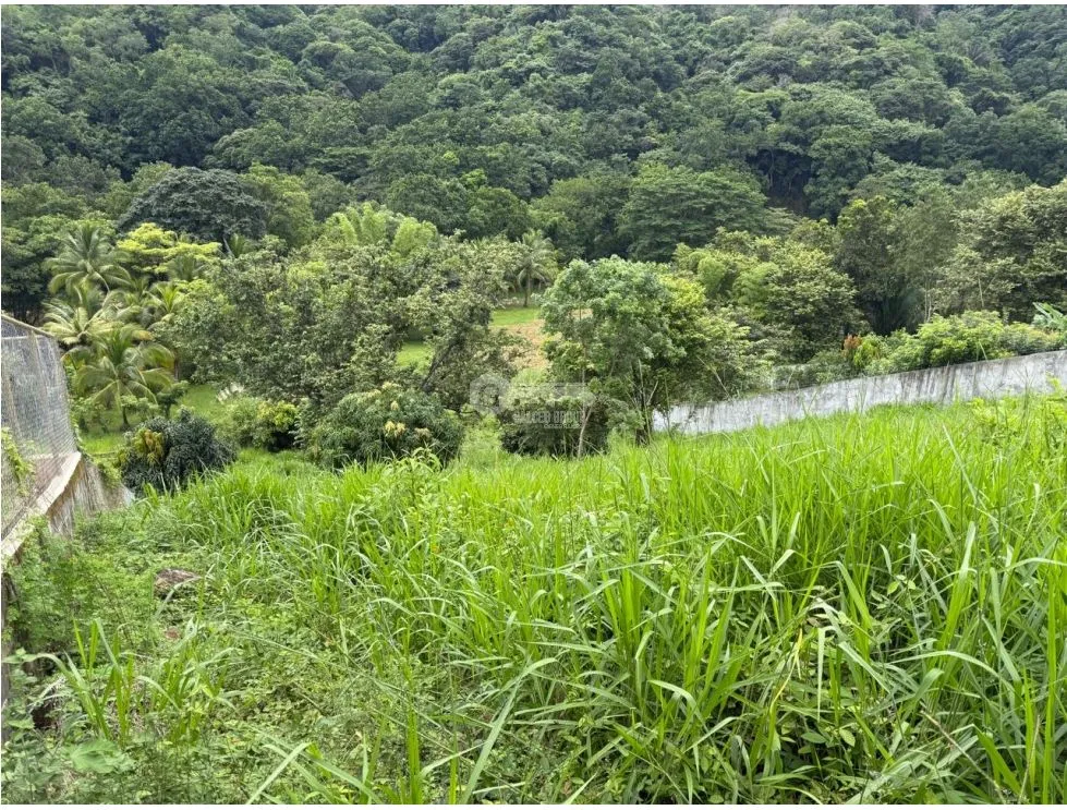 Building Lot for sale in La Mesa de San Martin