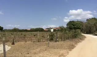 TERRENO / COCLE / RIO HATO / 17,725M / A 300M DE LA PANAMERICANA JC