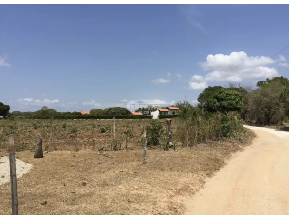 TERRENO / COCLE / RIO HATO / 17,725M / A 300M DE LA PANAMERICANA JC