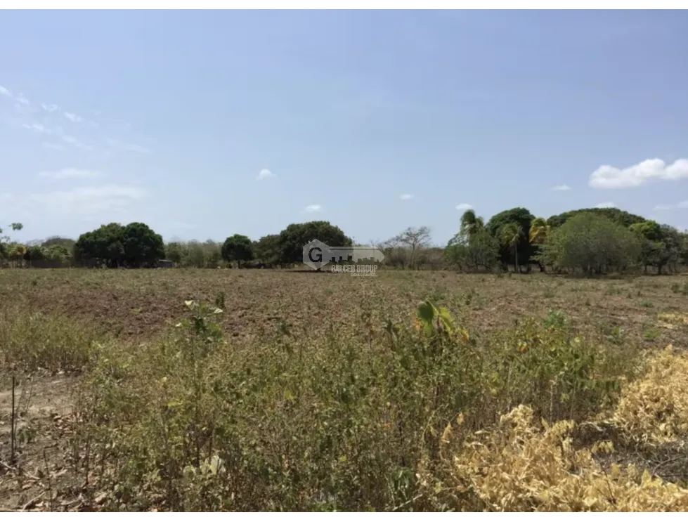 TERRENO / COCLE / RIO HATO / 17,725M / A 300M DE LA PANAMERICANA JC