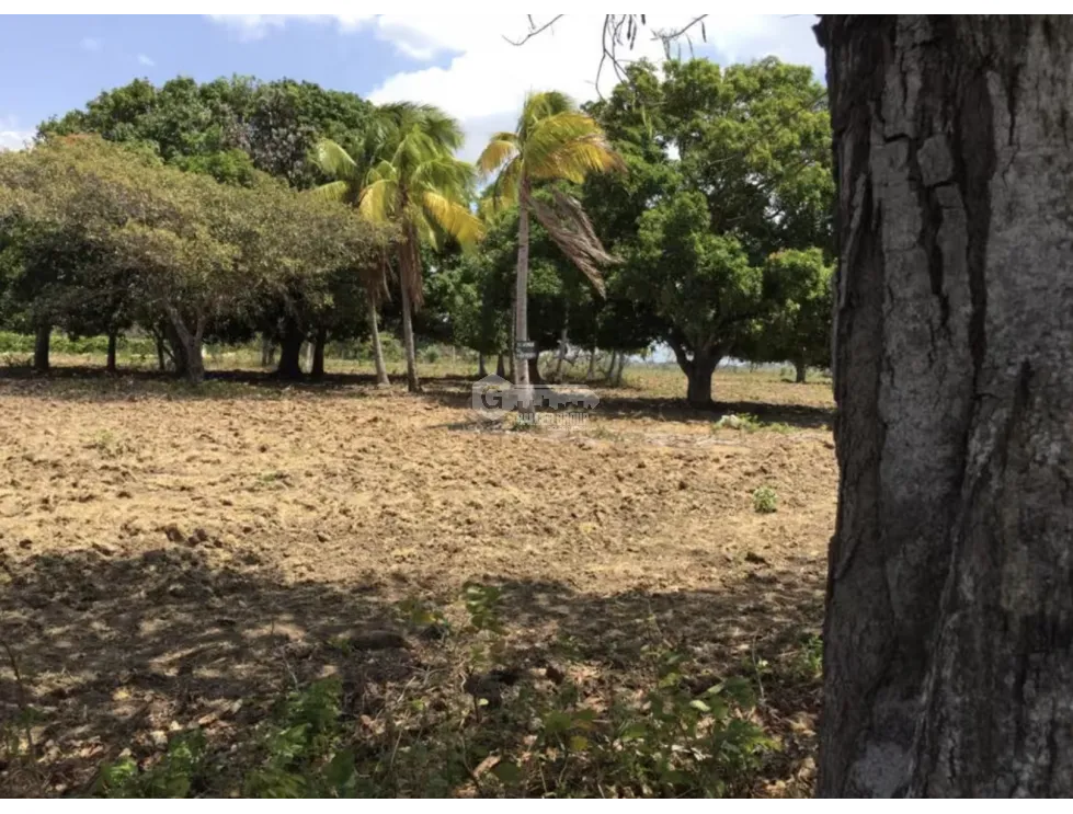 TERRENO / COCLE / RIO HATO / 17,725M / A 300M DE LA PANAMERICANA JC