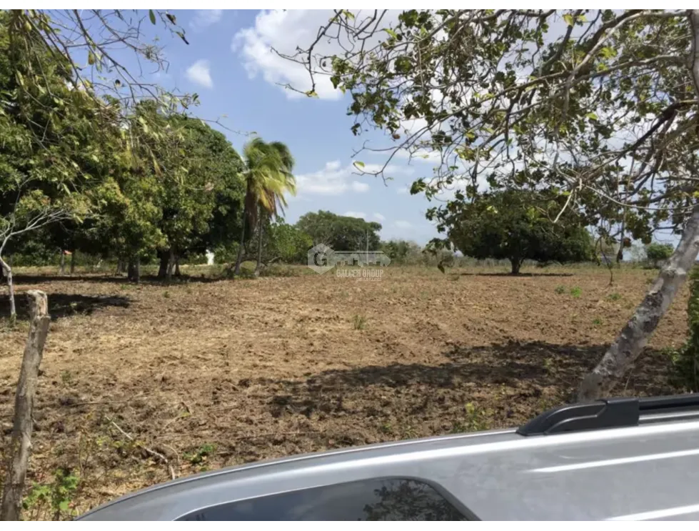 TERRENO / COCLE / RIO HATO / 17,725M / A 300M DE LA PANAMERICANA JC
