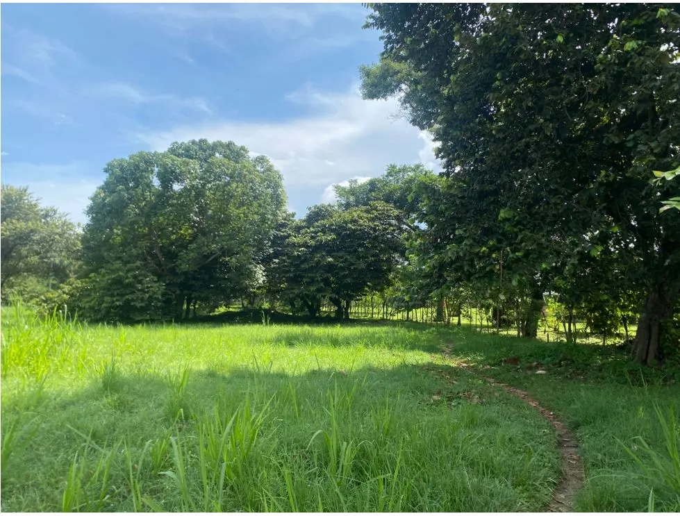 Building Lot for sale in Chame