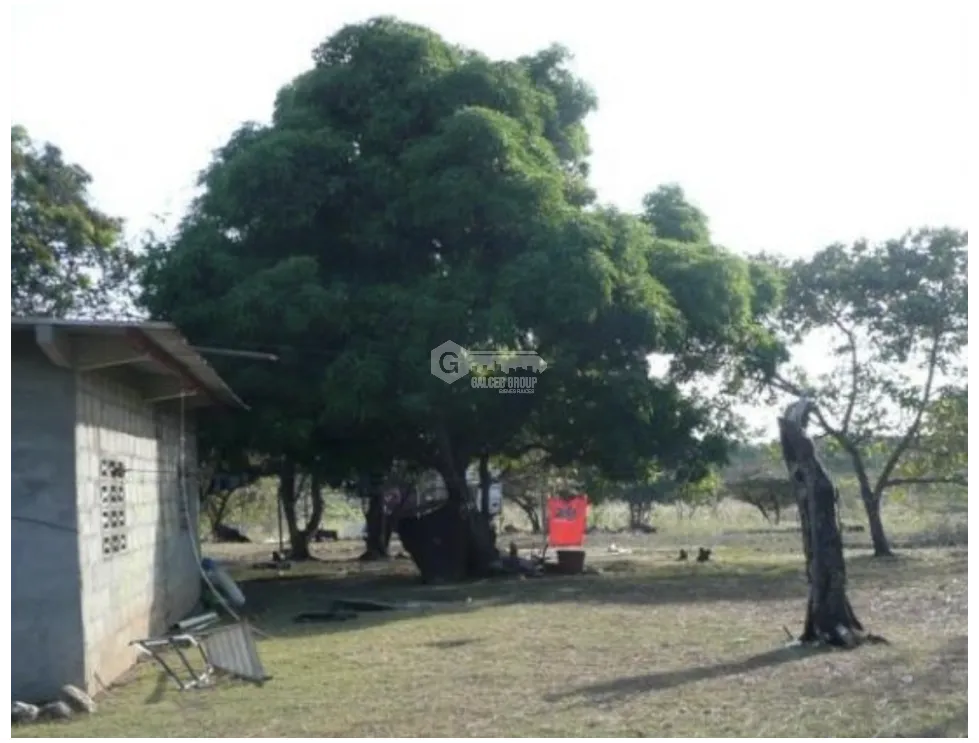 SAN CARLOS / SAN JOSE / LAND 2.3 HECTARES / WATER WELL JC
