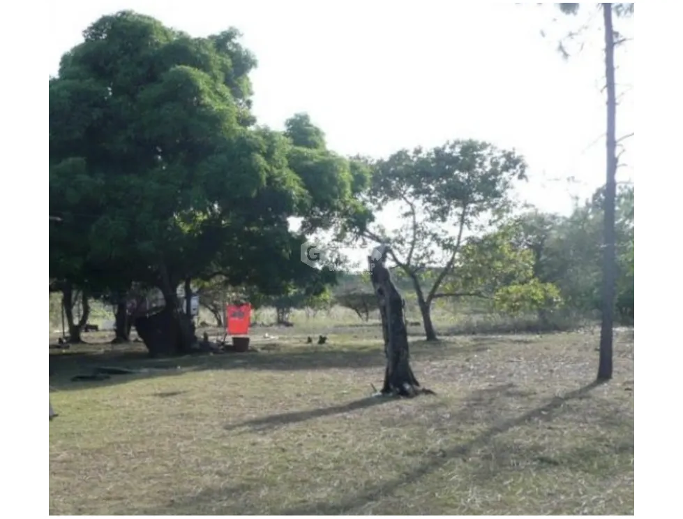 SAN CARLOS / SAN JOSE / LAND 2.3 HECTARES / WATER WELL JC