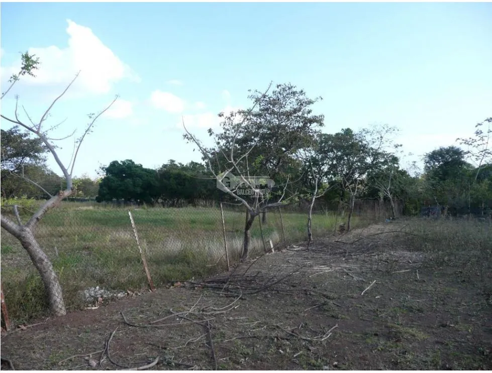 SAN CARLOS / SAN JOSE / LAND 2.3 HECTARES / WATER WELL JC