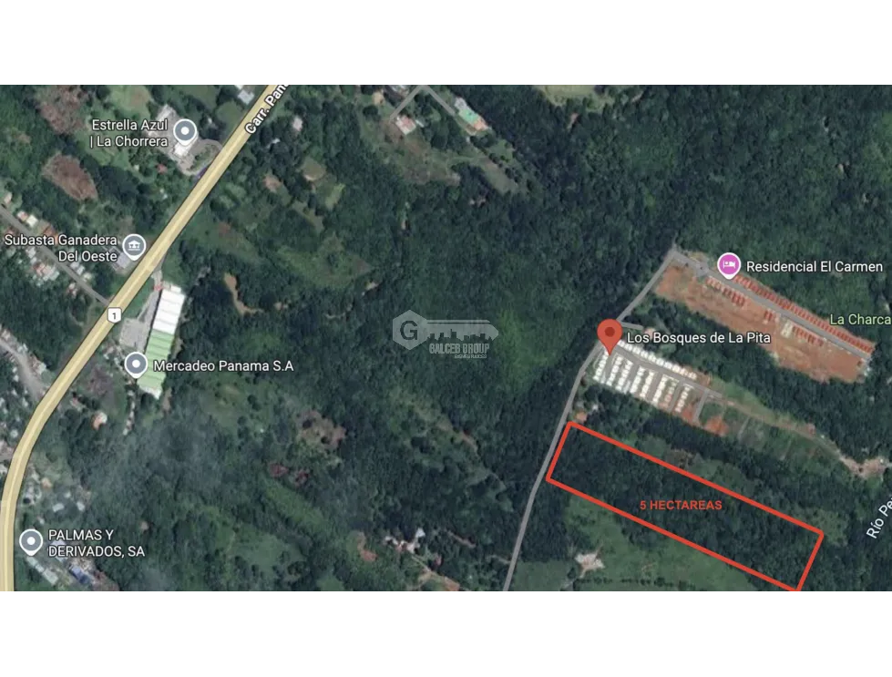LAND / PANAMA OESTE / VILLA CARMEN / 5 HECTARES FOR INVESTMENT