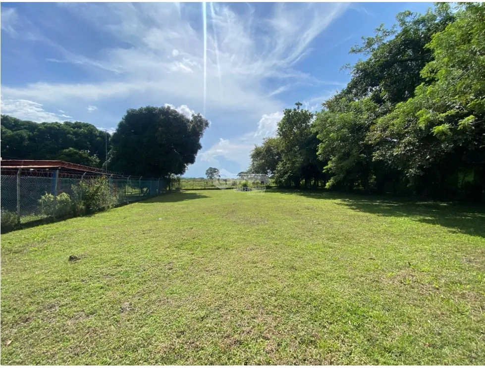 CHAME / NUEVA GORGONA / LAND / 1007M2 / FLAT / CLOSE TO BEACH
