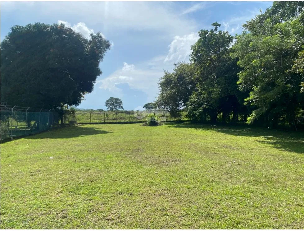 CHAME / NUEVA GORGONA / LAND / 1007M2 / FLAT / CLOSE TO BEACH