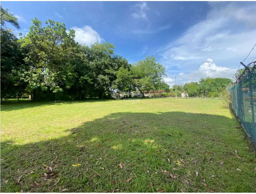 CHAME / NUEVA GORGONA / LAND / 1007M2 / FLAT / CLOSE TO BEACH