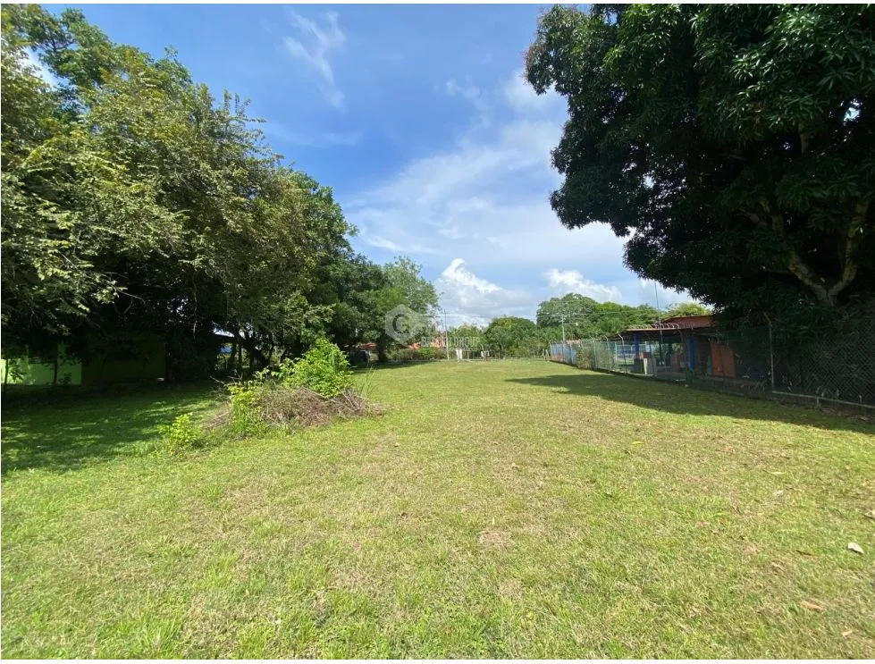 CHAME / NUEVA GORGONA / LAND / 1007M2 / FLAT / CLOSE TO BEACH