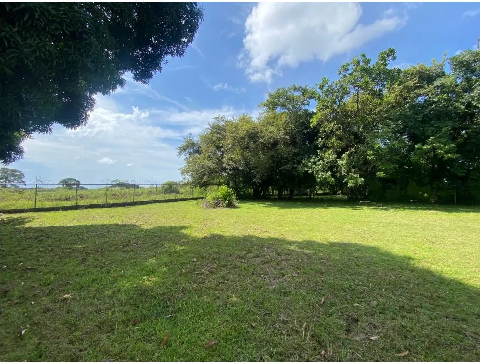 CHAME / NUEVA GORGONA / LAND / 1007M2 / FLAT / CLOSE TO BEACH