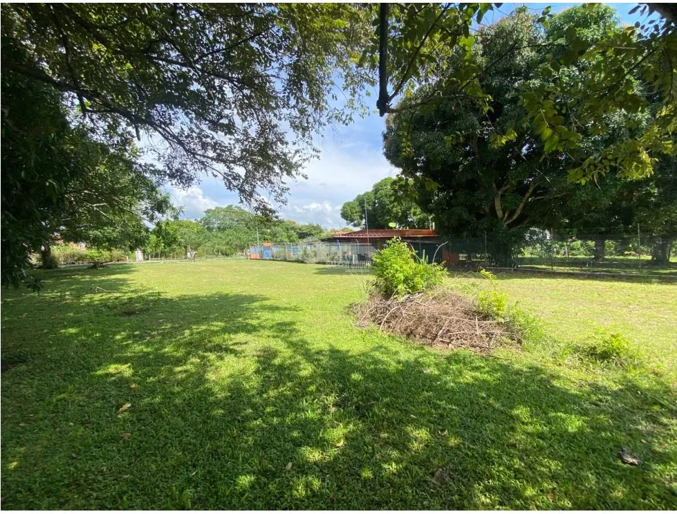 CHAME / NUEVA GORGONA / LAND / 1007M2 / FLAT / CLOSE TO BEACH
