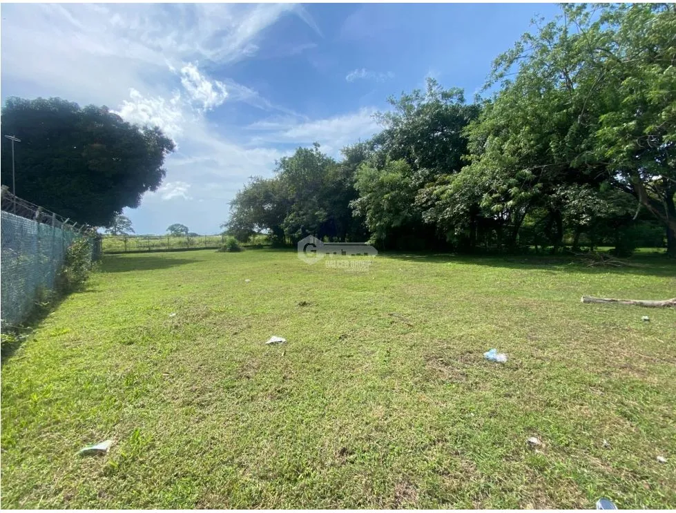 CHAME / NUEVA GORGONA / LAND / 1007M2 / FLAT / CLOSE TO BEACH
