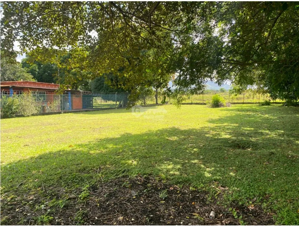 CHAME / NUEVA GORGONA / LAND / 1007M2 / FLAT / CLOSE TO BEACH