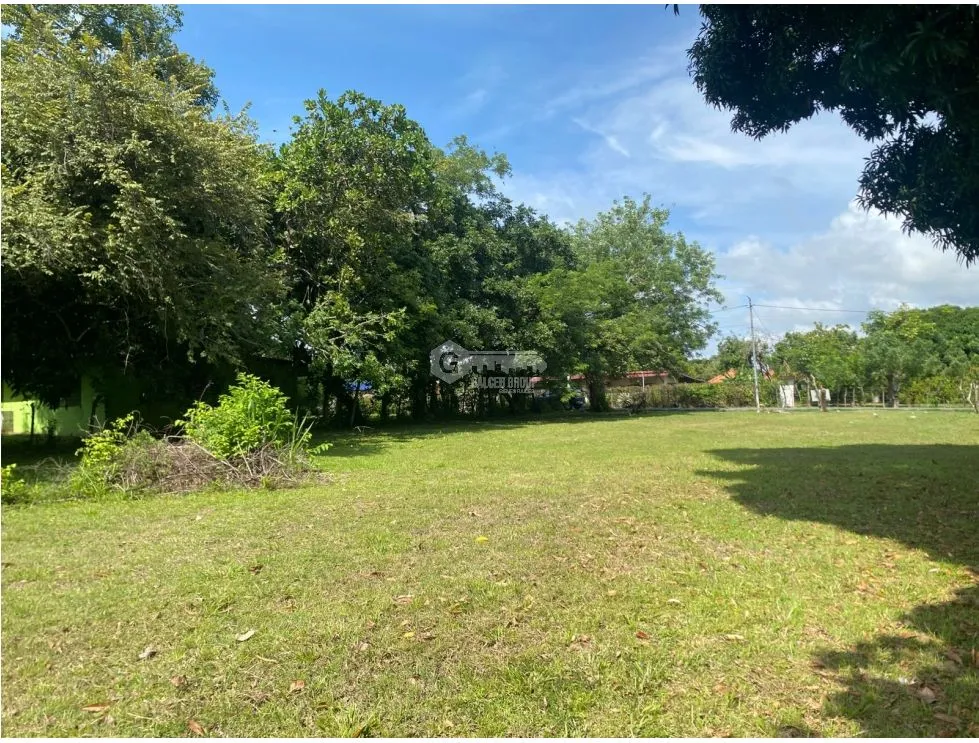 CHAME / NUEVA GORGONA / LAND / 1007M2 / FLAT / CLOSE TO BEACH