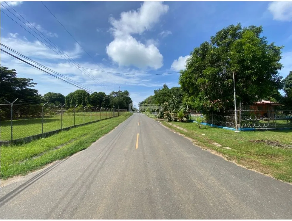 CHAME / NUEVA GORGONA / LAND / 1007M2 / FLAT / CLOSE TO BEACH