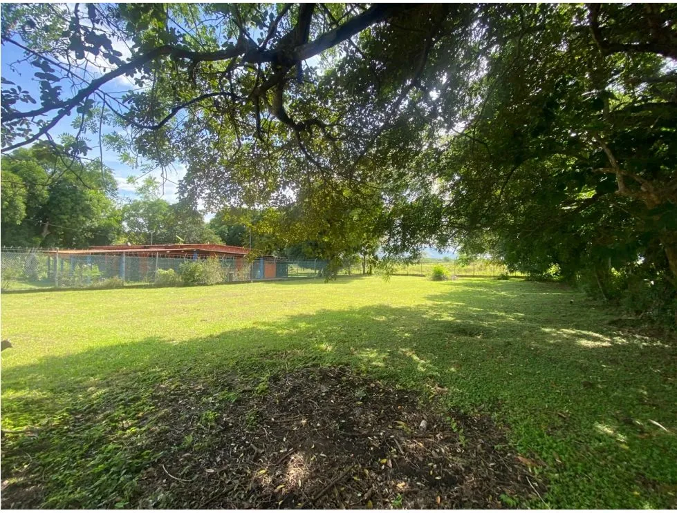 CHAME / NUEVA GORGONA / LAND / 1007M2 / FLAT / CLOSE TO BEACH