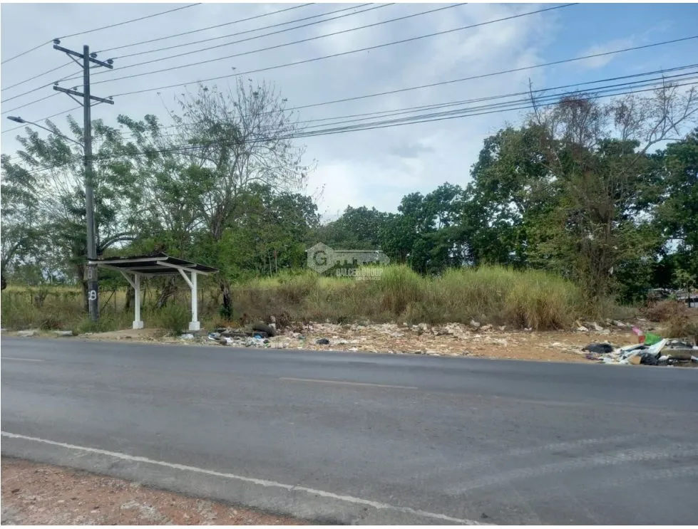 Building Lot for sale in Pacora