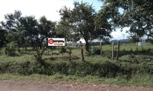 Building Lot for sale in David