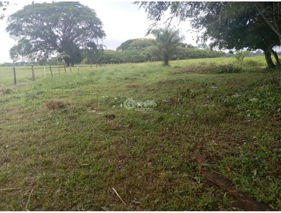 Building Lot for sale in David