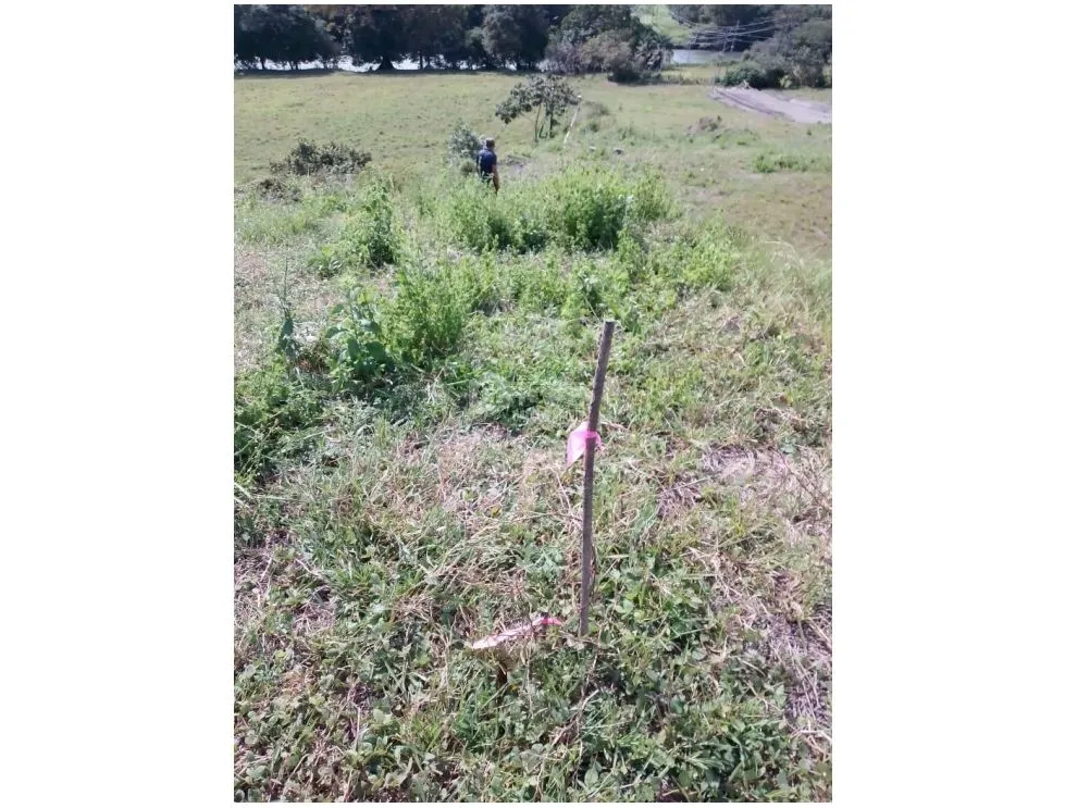 Building Lot for sale in David